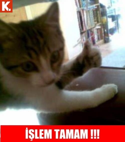 Çayın yanında tadımlık capsler 9