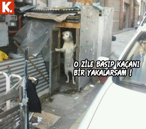 Birbirinden eğlenceli capsler 2