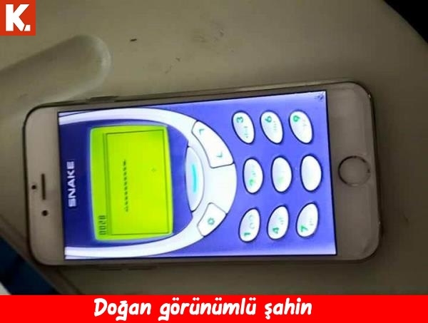 Birbirinden eğlenceli capsler 4