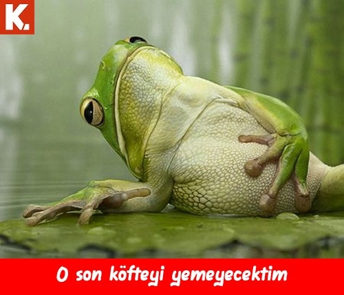 Birbirinden eğlenceli capsler 27