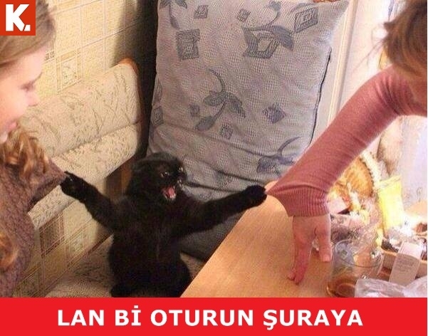 Birbirinden eğlenceli capsler 13