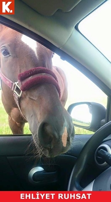 Birbirinden eğlenceli capsler 22