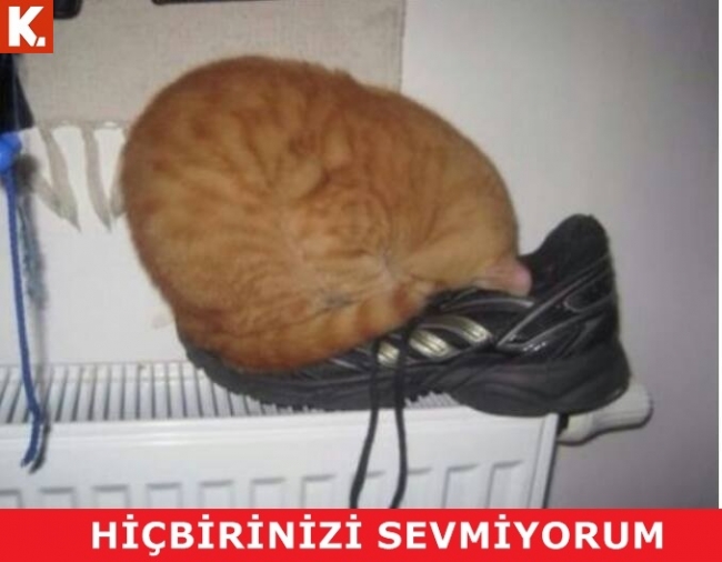 Birbirinden eğlenceli capsler 27