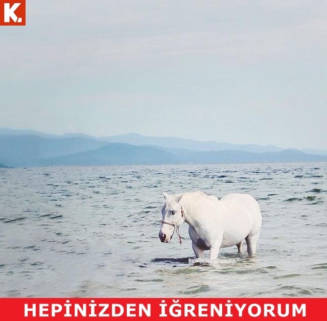 Birbirinden eğlenceli capsler 28