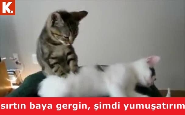 Birbirinden eğlenceli capsler 29