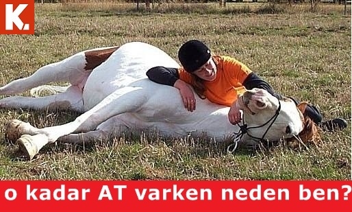 Birbirinden eğlenceli capsler 30