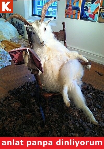 Birbirinden eğlenceli capsler 31