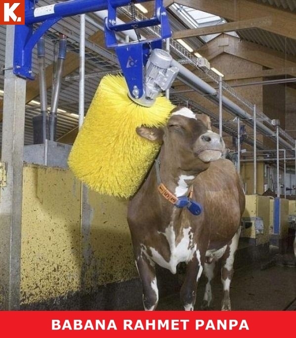 Birbirinden eğlenceli capsler 3