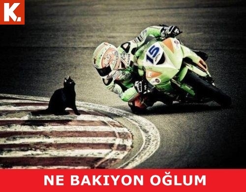 Birbirinden eğlenceli capsler 4