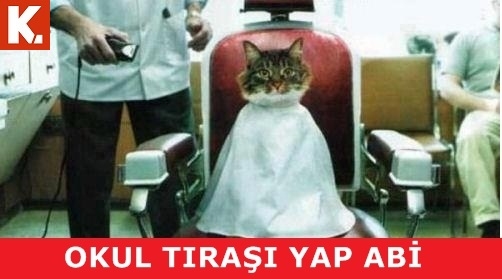 Birbirinden eğlenceli capsler 5