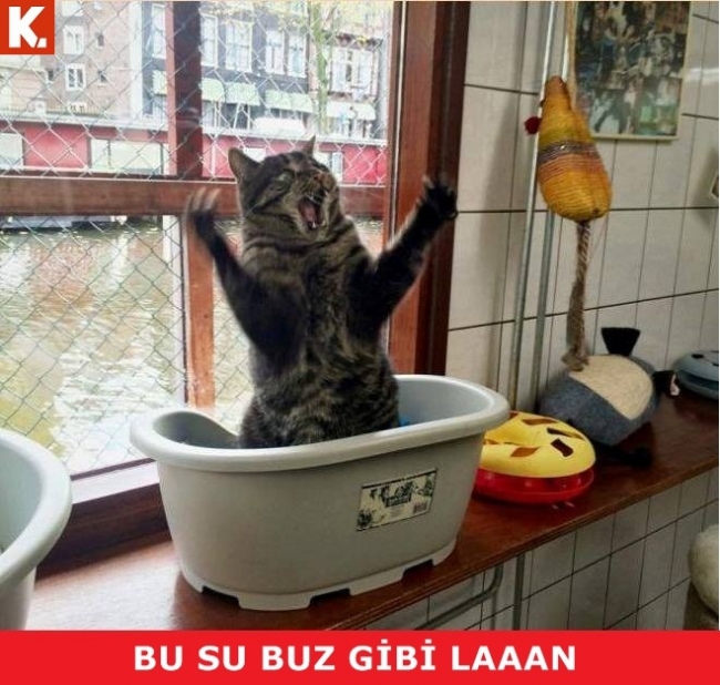 Birbirinden eğlenceli capsler 8