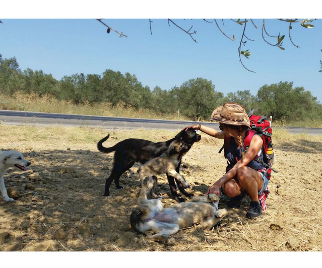 Instagram'da ünlüler: Düğünümüz var! 2