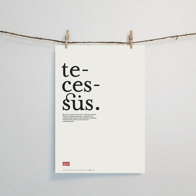 Kelimeleri sevdiren hesap: 'Lûgat365' 15