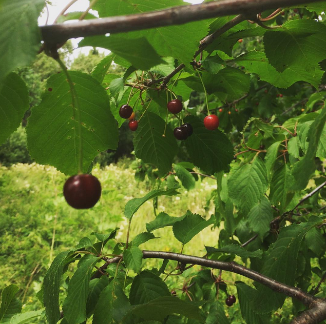 Instagram'da ünlüler: Arda'nın selfie ısrarı 18