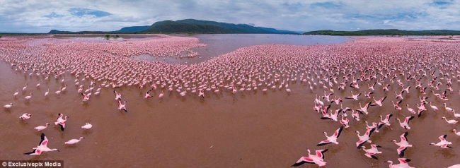 Kuşların gözünden gezegenin en harika manzaraları 18
