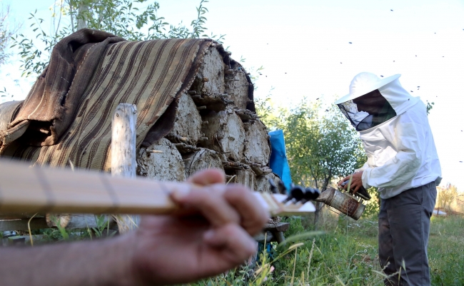 Bal arılarına serenat: Arım balağım peteğim! 2