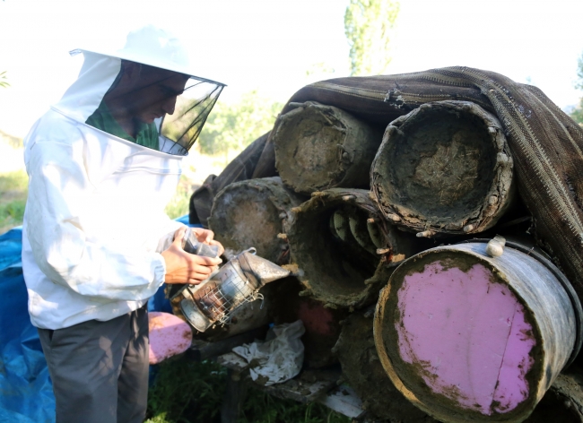 Bal arılarına serenat: Arım balağım peteğim! 3