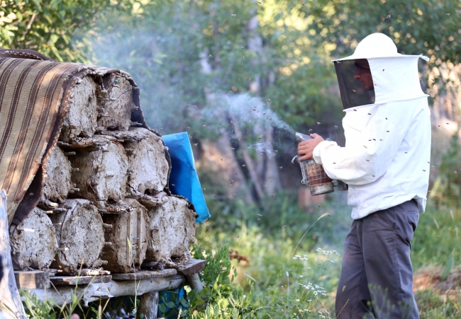 Bal arılarına serenat: Arım balağım peteğim! 8