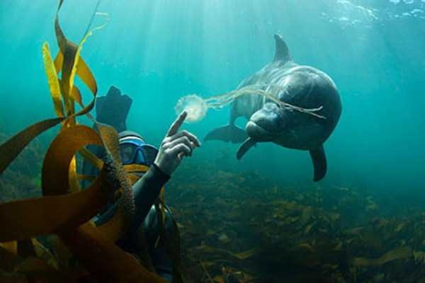 Photoshop değil ama gerçek 16