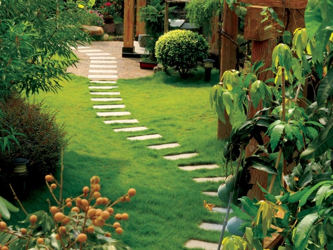 Türkiye'nin en hızlı büyüyen 20 şirketi 12