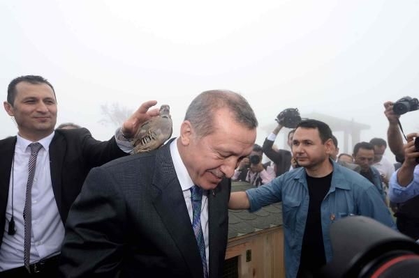 Erdoğan'ın başına keklik kondu! 1