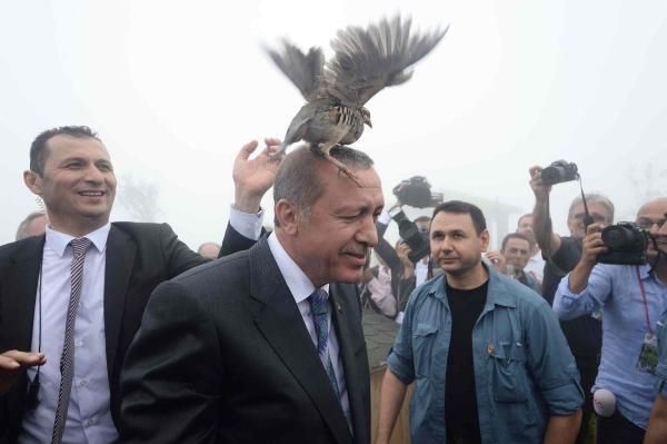 Erdoğan'ın başına keklik kondu! 3