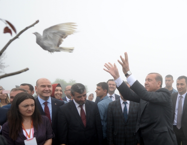 Erdoğan'ın başına keklik kondu! 9