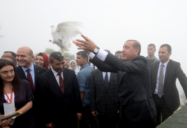 Erdoğan'ın başına keklik kondu! 10