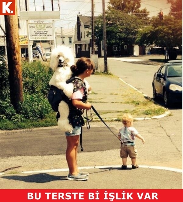 Birbirinden komik capsler 5