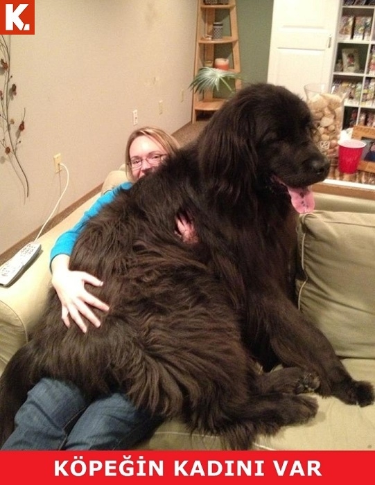 Birbirinden komik capsler 7