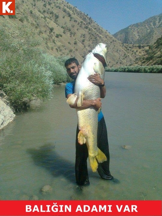 Birbirinden komik capsler 11