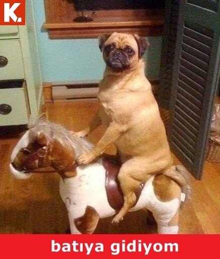 Birbirinden komik capsler 14