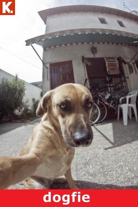 Birbirinden komik capsler 25