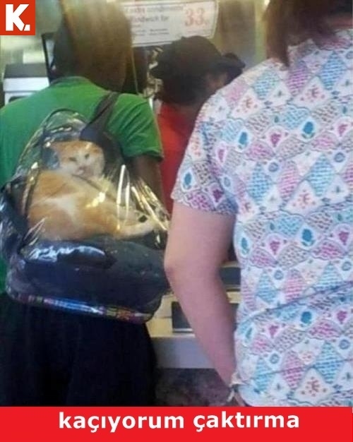 Birbirinden komik capsler 27