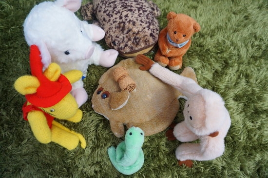 Oyuncak hayvanlar için kafe açtılar 7