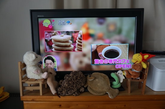 Oyuncak hayvanlar için kafe açtılar 10