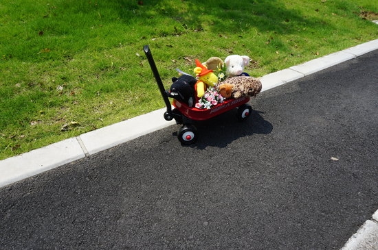 Oyuncak hayvanlar için kafe açtılar 6