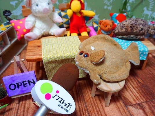 Oyuncak hayvanlar için kafe açtılar 8