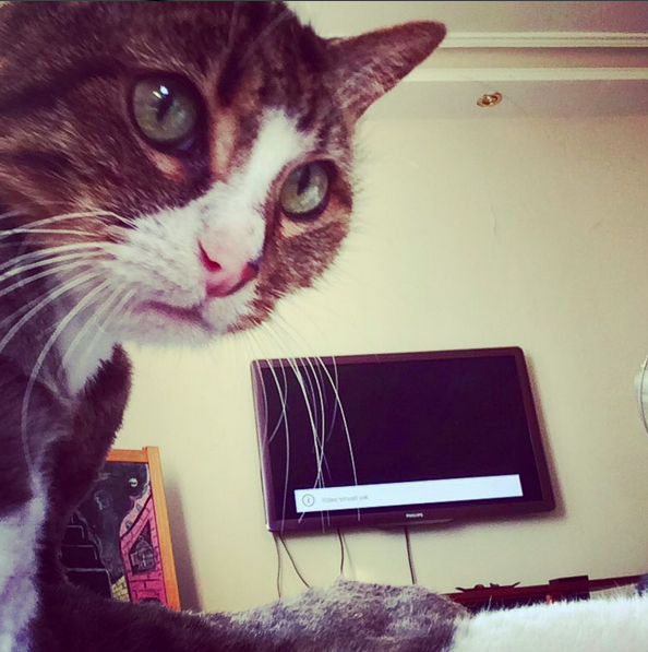 Instagram'da Ünlüler: O benim prensesim! 13