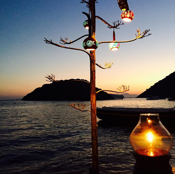 Instagram'da ünlüler: Aşk doğanın temel ihtiyacı 16