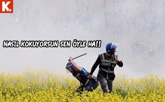 Tatile çıkamayanlara kafa dağıtmalık capsler 14