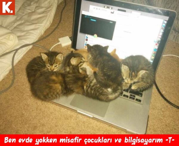 Tatile çıkamayanlara kafa dağıtmalık capsler 17