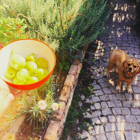 Instagram'da ünlüler: Yasemin'in büyük aşkı! 13