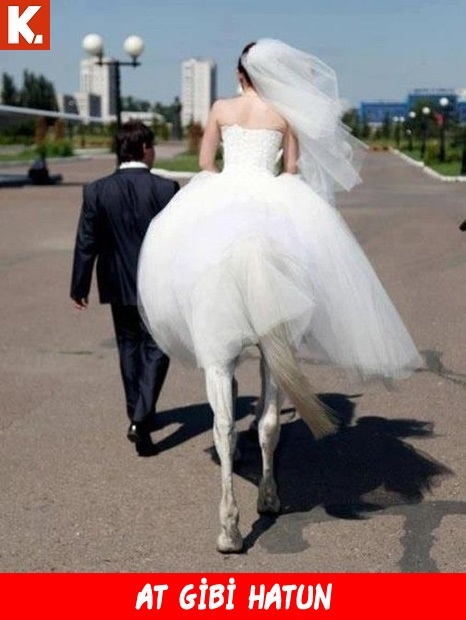 Sıcak havanızı serinletecek soğuk espriler 17