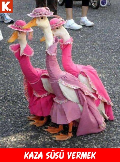 Sıcak havanızı serinletecek soğuk espriler 8