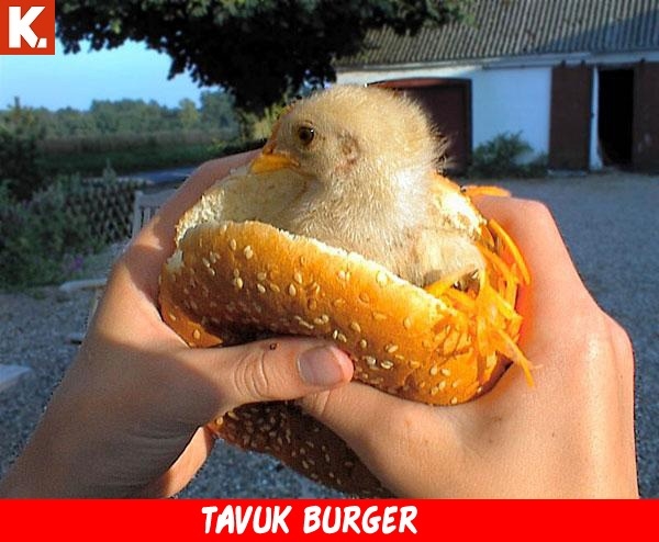 Sıcak havayı serinleten soğuk capsler 16