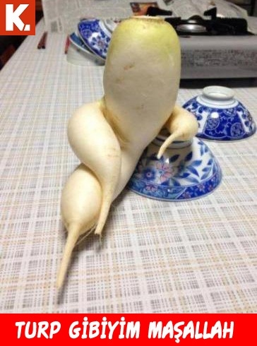 Sıcak havayı serinleten soğuk capsler 17