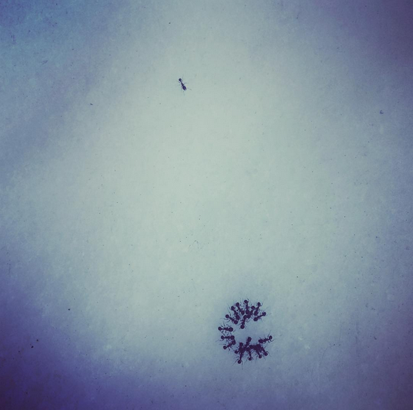 Instagram’da ünlüler: Yağmur Tanrısevsin’in yeni imajı 20