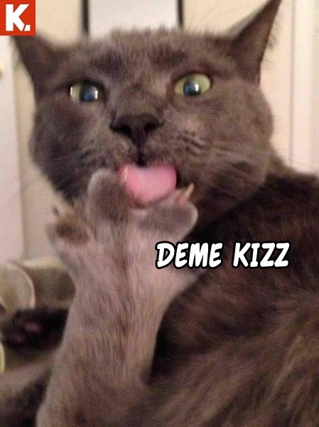 Bu hayvanlar ne konuşuyor? 4