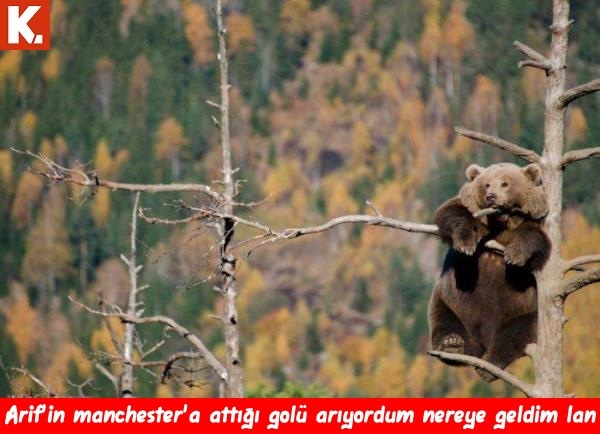 Bu hayvanlar ne konuşuyor? 6